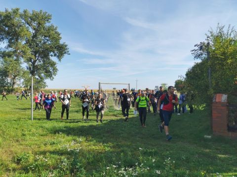 29. Zawody na Orientację Beniamin s127 - PTTK Strzelin