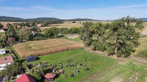 29. Zawody na Orientację Beniamin s161 - PTTK Strzelin