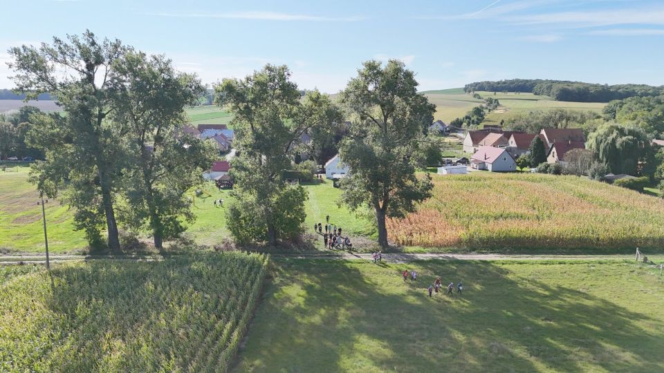 29. Zawody na Orientację Beniamin d163 - PTTK Strzelin