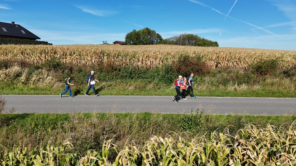 29. Zawody na Orientację Beniamin d168 - PTTK Strzelin