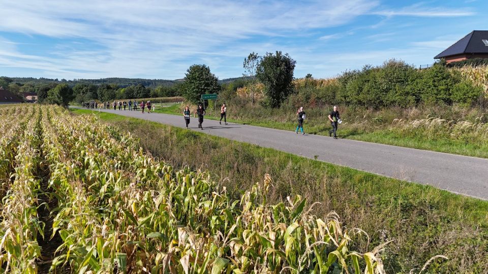29. Zawody na Orientację Beniamin d169 - PTTK Strzelin