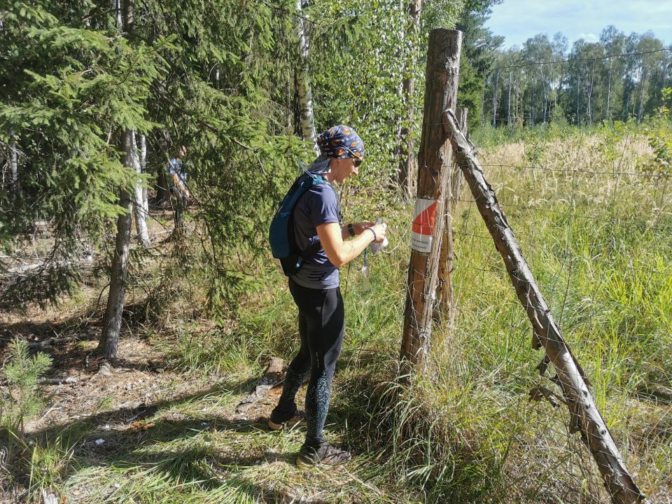 29. Zawody na Orientację Beniamin d191 - PTTK Strzelin