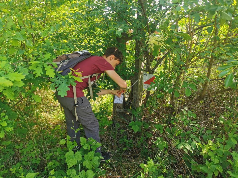 XXX Strzeliński Rogaining s002 - PTTK Strzelin