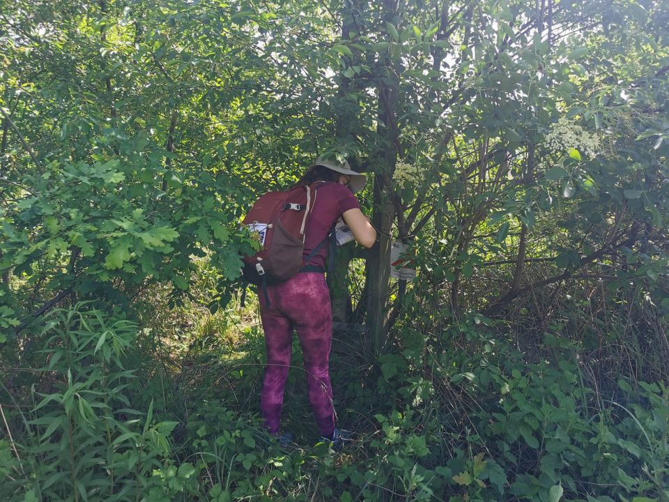 XXX Strzeliński Rogaining s002 - PTTK Strzelin