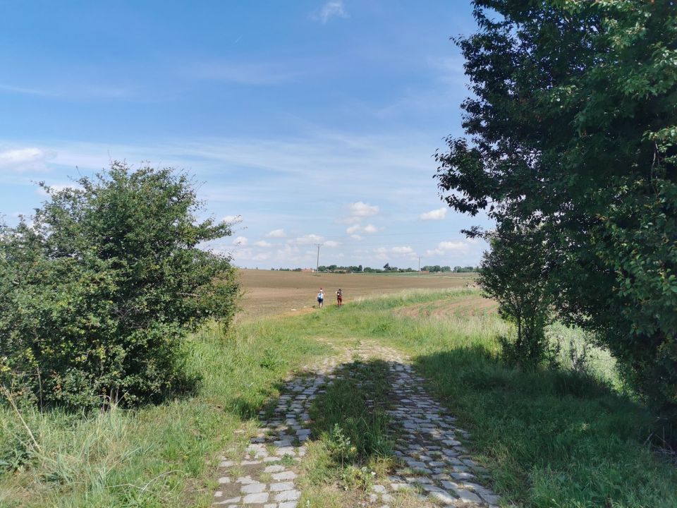 XXX Strzeliński Rogaining s002 - PTTK Strzelin