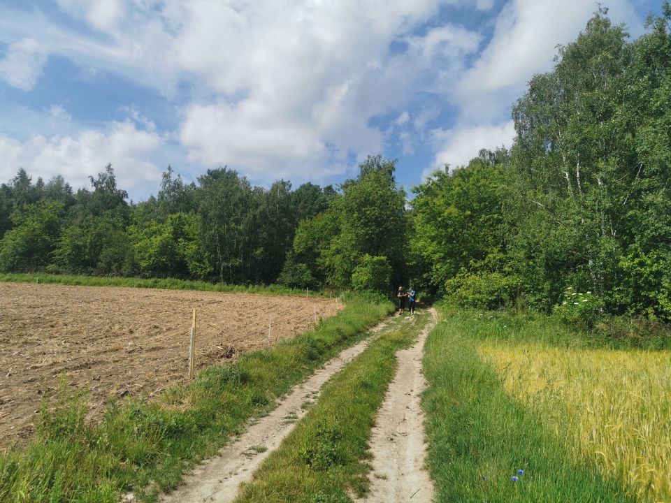 XXX Strzeliński Rogaining s002 - PTTK Strzelin