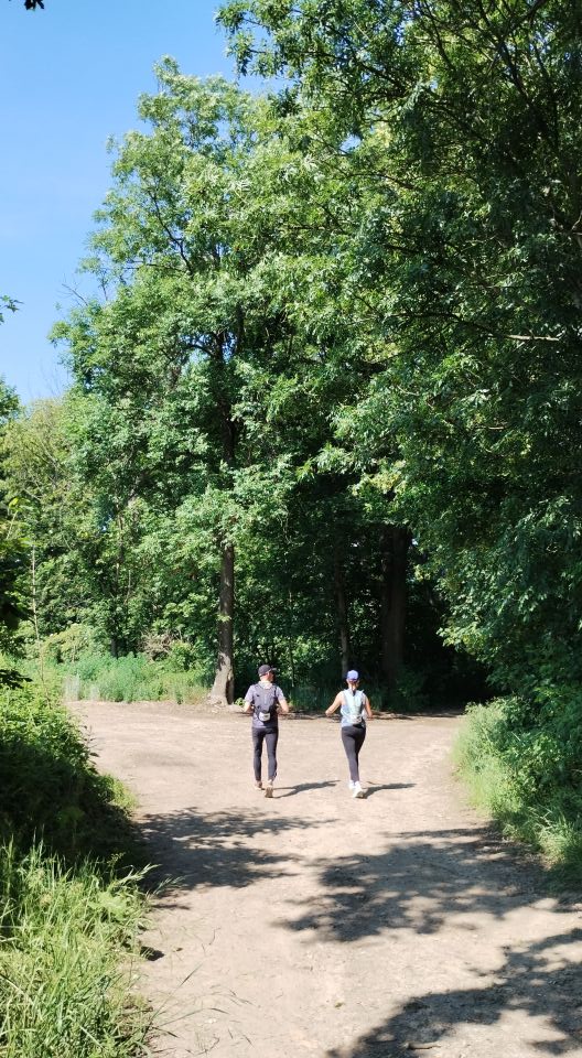 29. Zawody na Orientację Siapula d79 - PTTK Strzelin