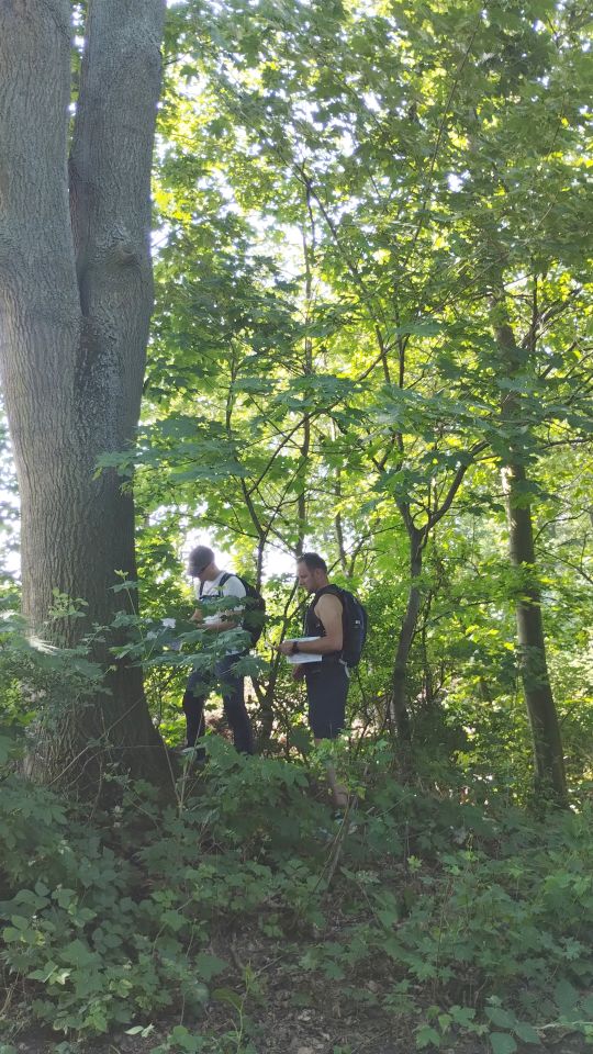 29. Zawody na Orientację Siapula d91 - PTTK Strzelin