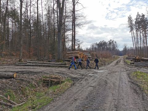 XVI Zawody na Orientację Powitanie wiosny s196 - PTTK Strzelin