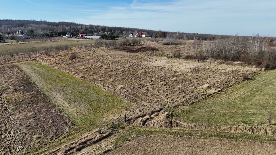 18. Zawody na Orientację Powitanie wiosny d169 - PTTK Strzelin