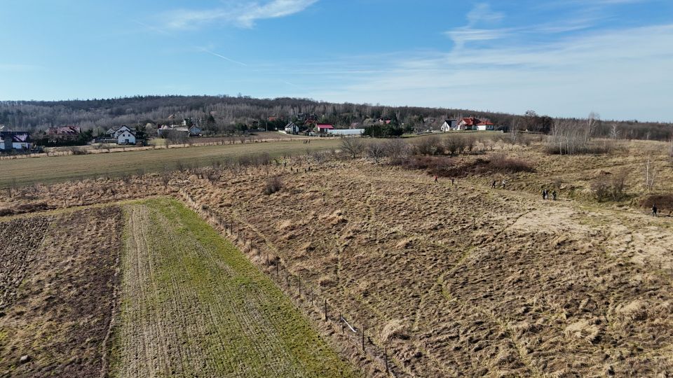 18. Zawody na Orientację Powitanie wiosny d170 - PTTK Strzelin