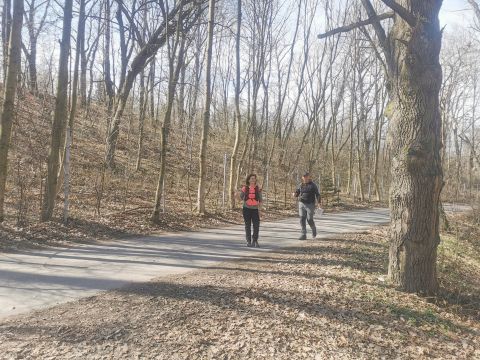 18. Zawody na Orientację Powitanie wiosny s172 - PTTK Strzelin