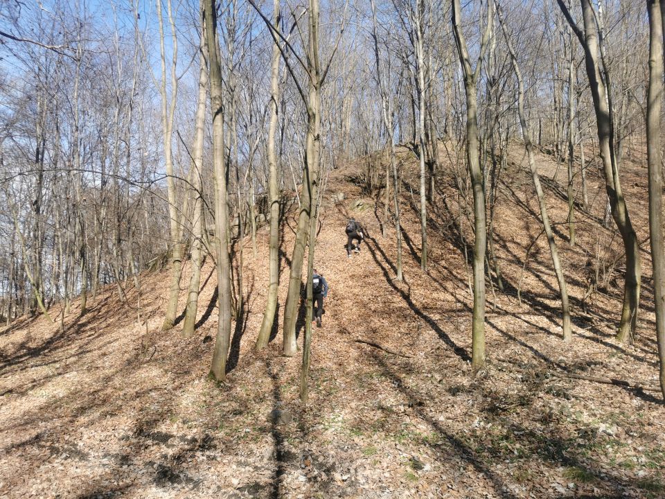 18. Zawody na Orientację Powitanie wiosny d175 - PTTK Strzelin