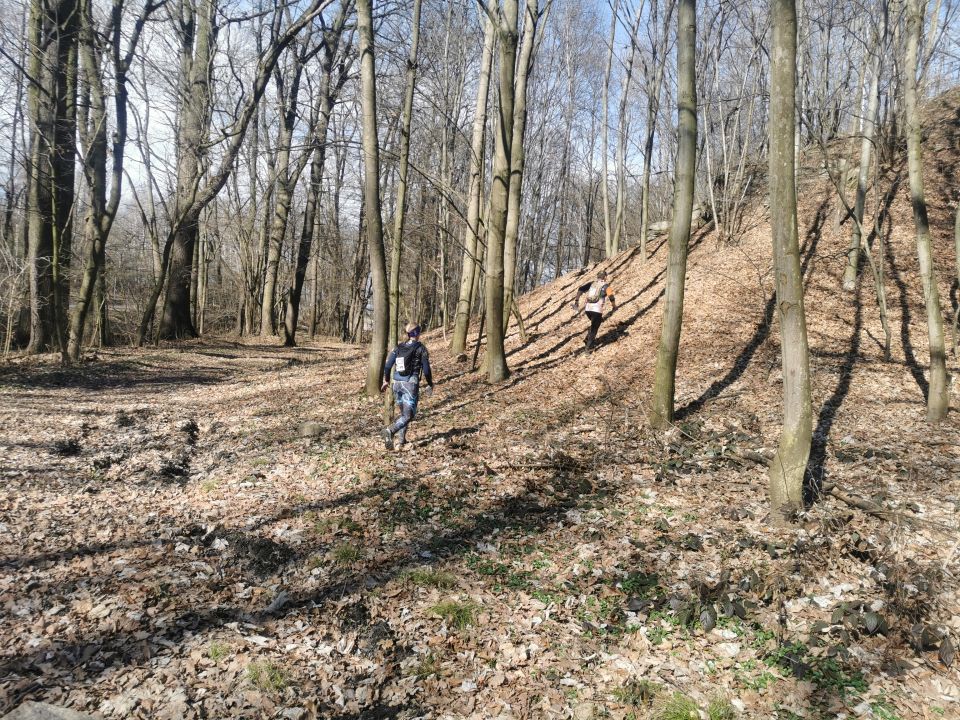 18. Zawody na Orientację Powitanie wiosny d178 - PTTK Strzelin