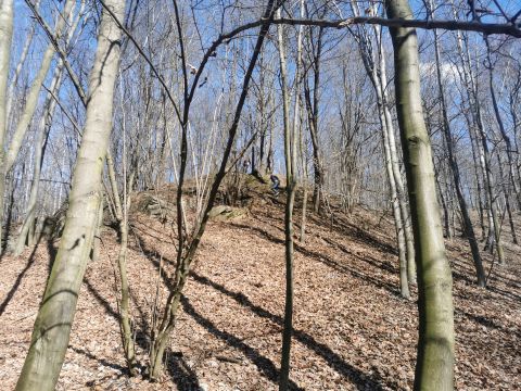 18. Zawody na Orientację Powitanie wiosny s179 - PTTK Strzelin