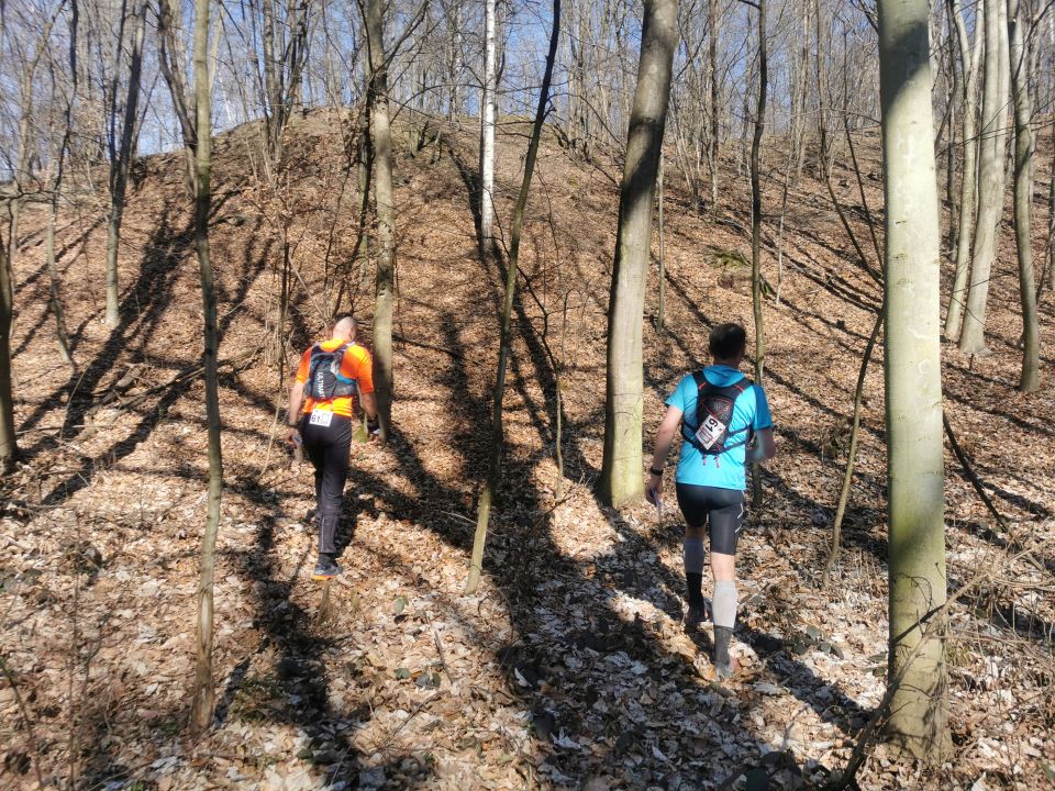 18. Zawody na Orientację Powitanie wiosny d184 - PTTK Strzelin