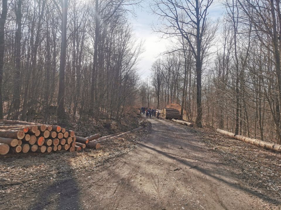18. Zawody na Orientację Powitanie wiosny d202 - PTTK Strzelin